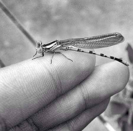 God's Intricate Design