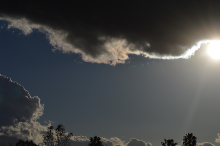 Sunlight