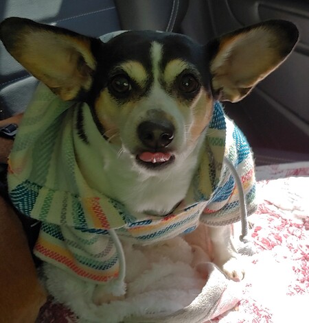 Molly
