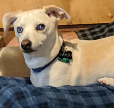 Max