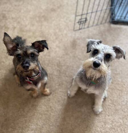 Eli & Lincoln