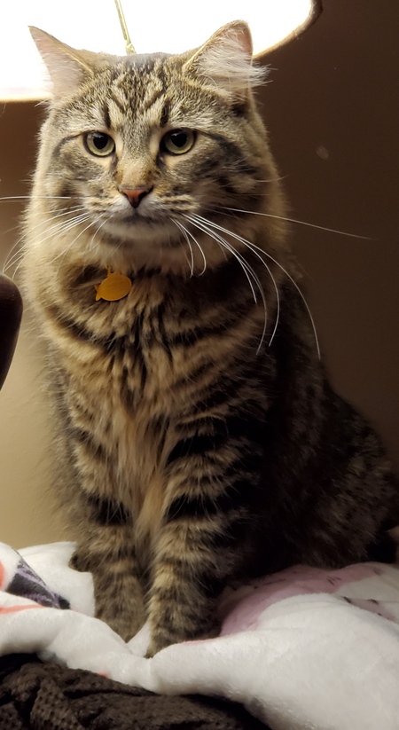 Charlie