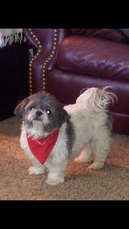 Roscoe P. Cole Train