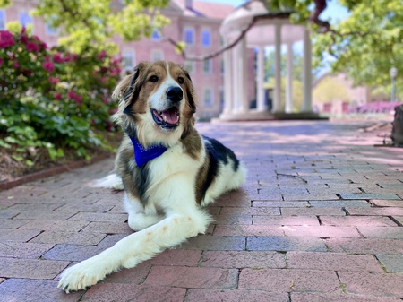 Baxter