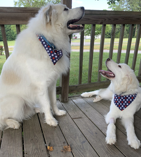 Loki and Leila
