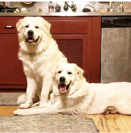 Bo and Zoe