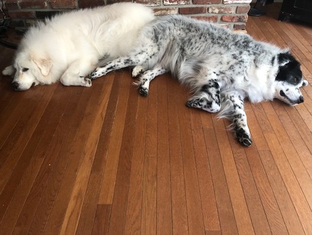 Winston and Dani 