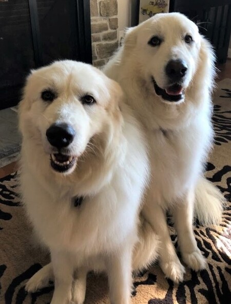 Becca and Samson