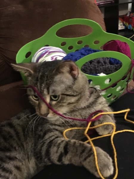 Titus