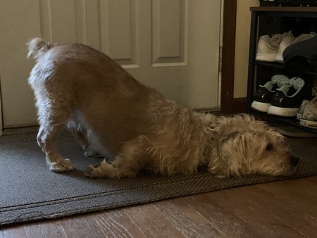 Max