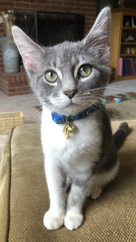 Luna