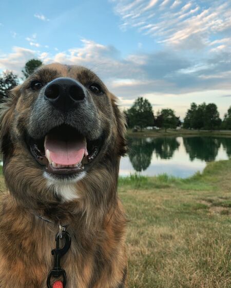 Grover 
