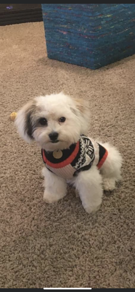 Oliver