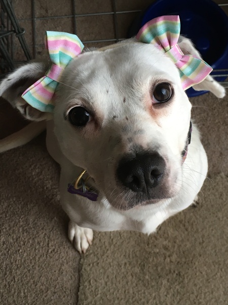 Lily