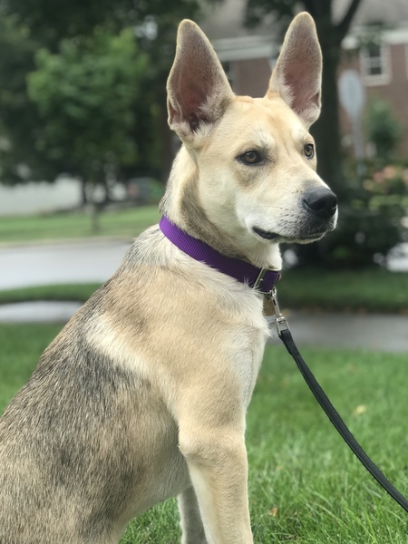 Kira