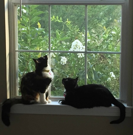 Lucy and Emrys