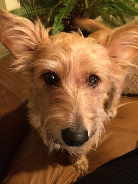Sadie Mae Yore
