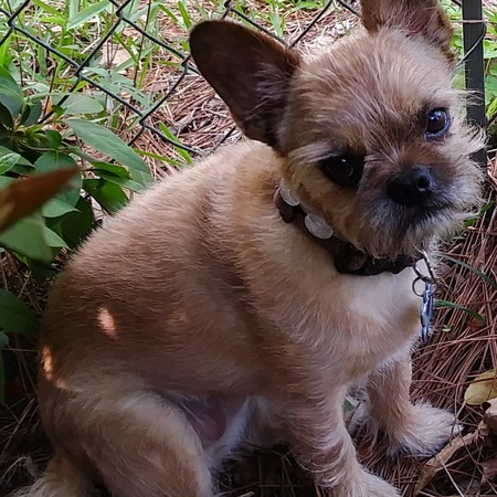 Tootie Dookie
