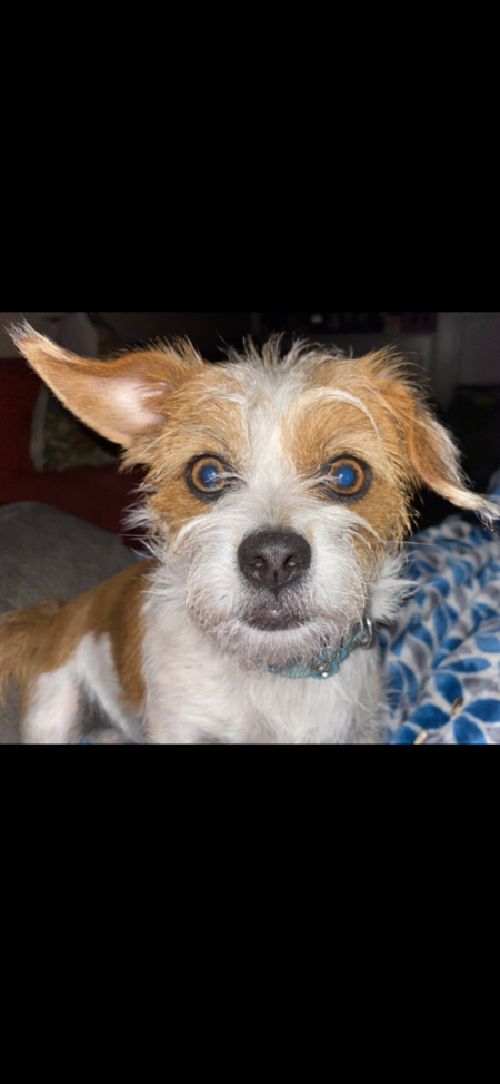 Mollie