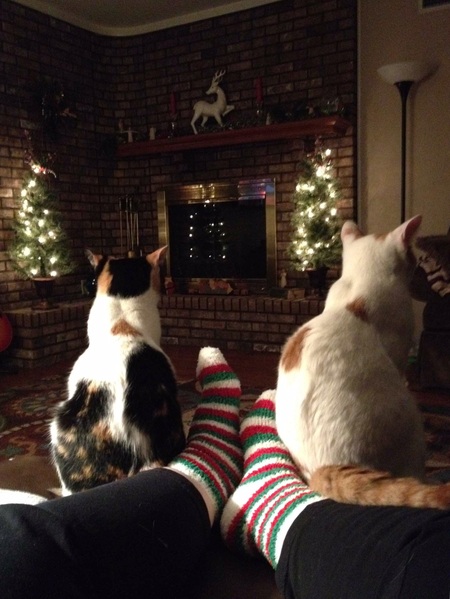 Sophie and Tilly