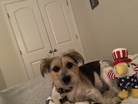 Winston