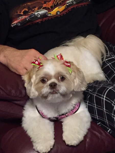 Bailey