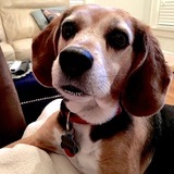 Entry image for Tchoupitoulas