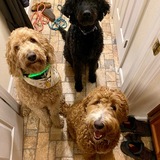 Entry image for Mazie, Mildred, Midge