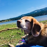 Entry image for Maggie