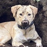 Entry image for Jack