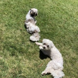 Entry image for Loki and Storm