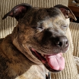 Entry image for Mocha