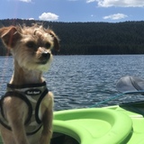 Entry image for Alvin Parker