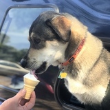 Entry image for Toby