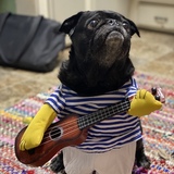 Entry image for Kender