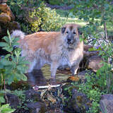 Entry image for Bidwell