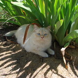 Entry image for Sebastian 