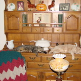 Entry image for Polly & Milo