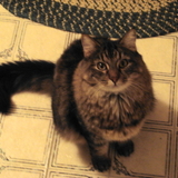 Entry image for Hershey