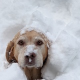 Entry image for Kate