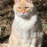 Entry image for Diego