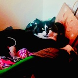 Entry image for Mittens