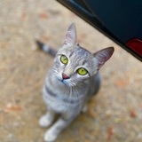 Entry image for Stormie 