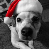 Entry image for Nakona DeMarini 