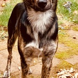 Entry image for Mackay