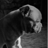 Entry image for Doctor Benjamin D Square