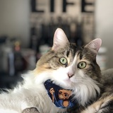 Entry image for Murphy Josephine 