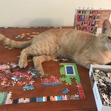 Entry image for Maui