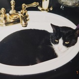 Entry image for The boy