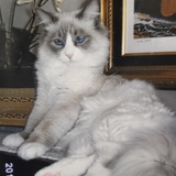 Entry image for Maggie Mae 